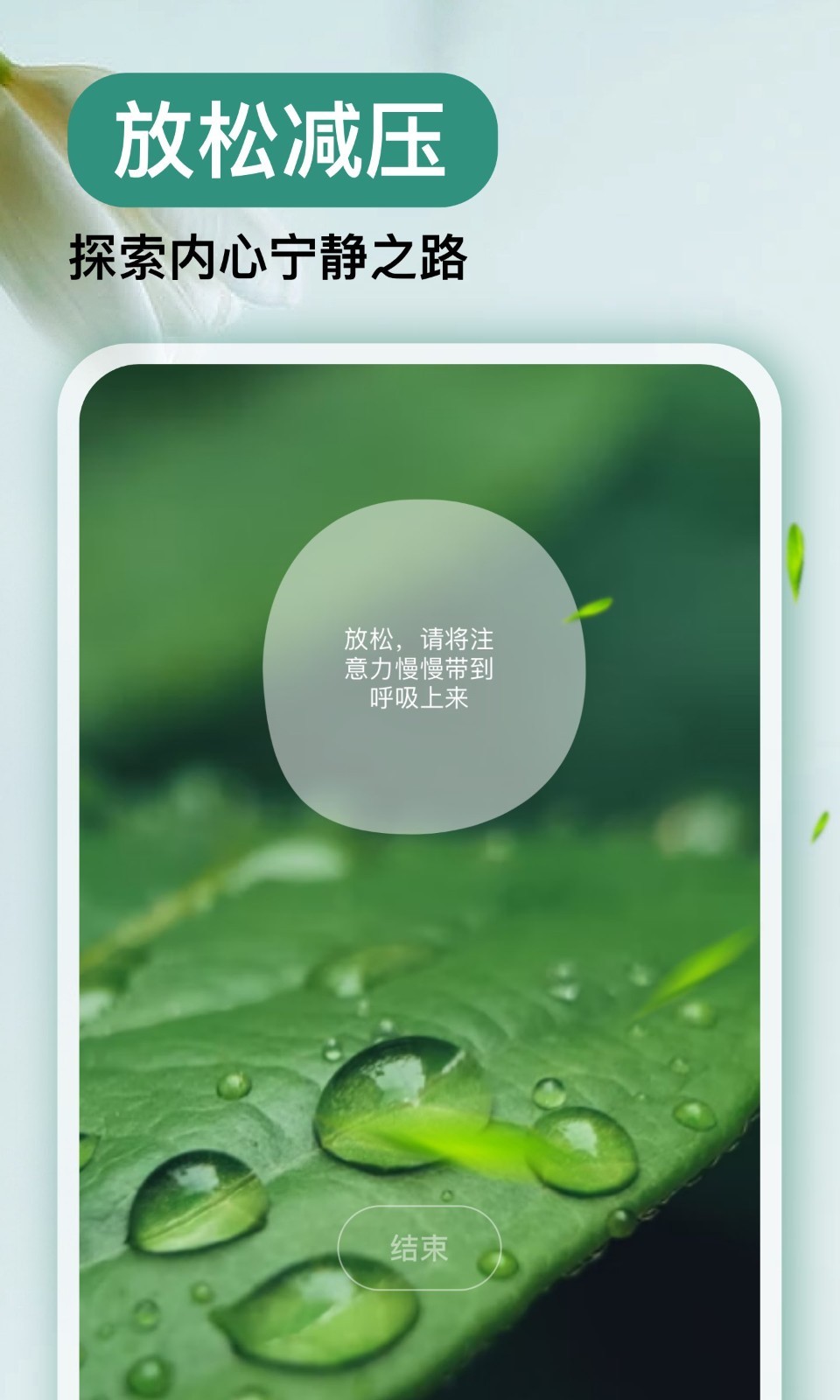 Now冥想展示图4