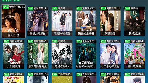 黑枫视界免费版