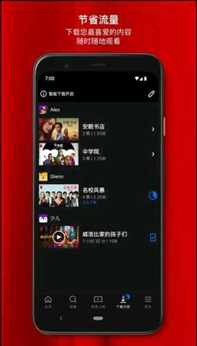 网飞展示图2