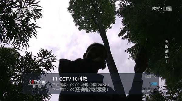西夏直播正版