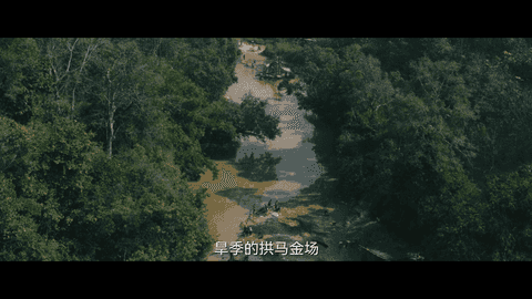 今日影视最新版
