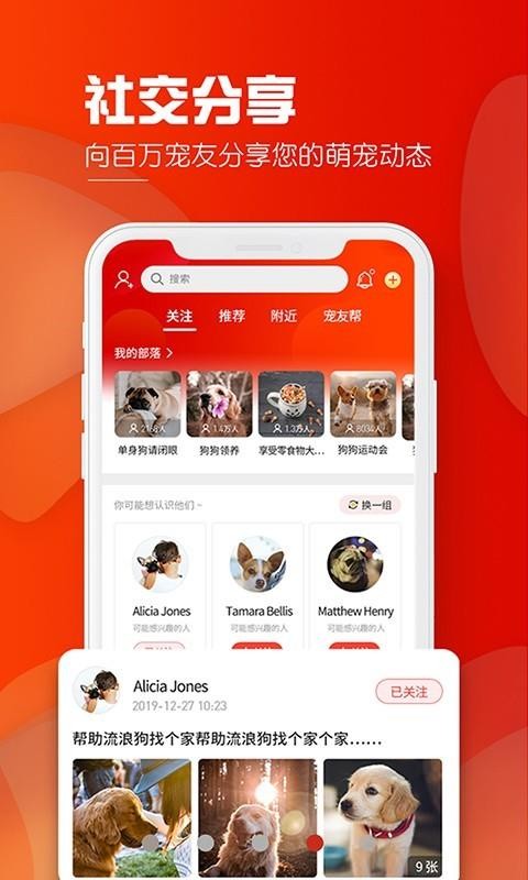 犬易安卓版