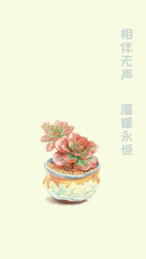 小墨多肉日记正版