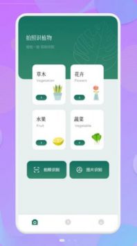 智能识图识物