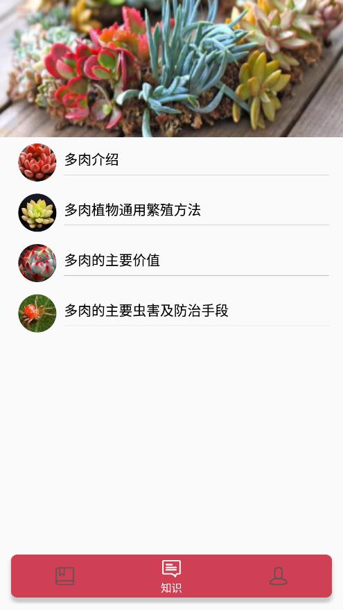 小墨多肉日记正版