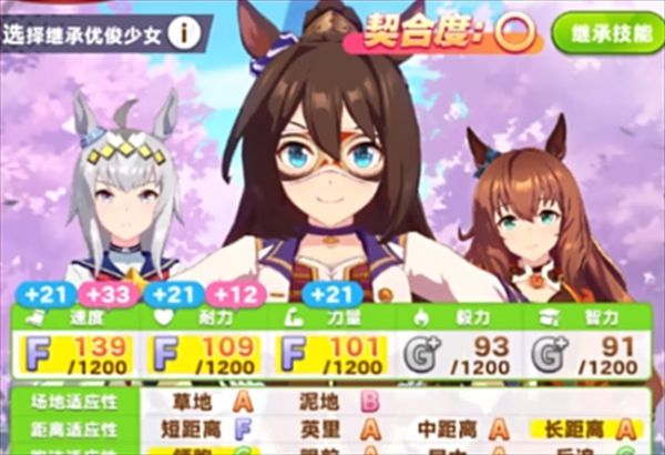 闪耀优俊少女契合度怎么查看 契合度查看方法
