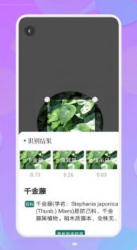 智能识图识物展示图2