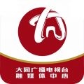 看大同app