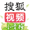 搜狐视频