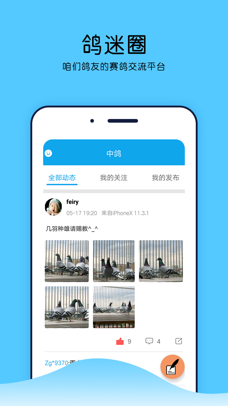中鸽网app展示图4