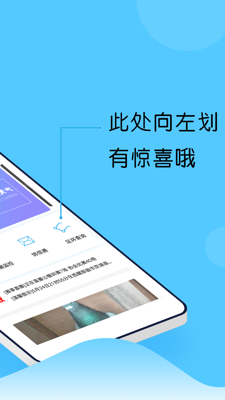 中鸽网app展示图2