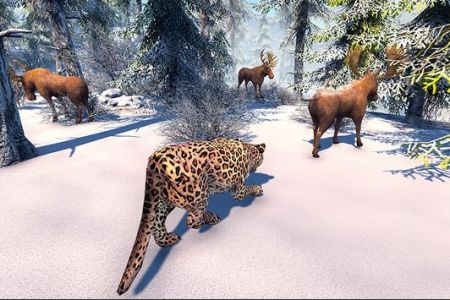 北极豹家族雪林模拟展示图3