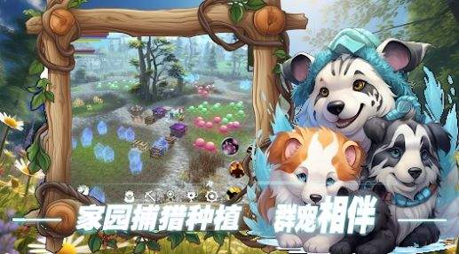 双生圣王展示图2
