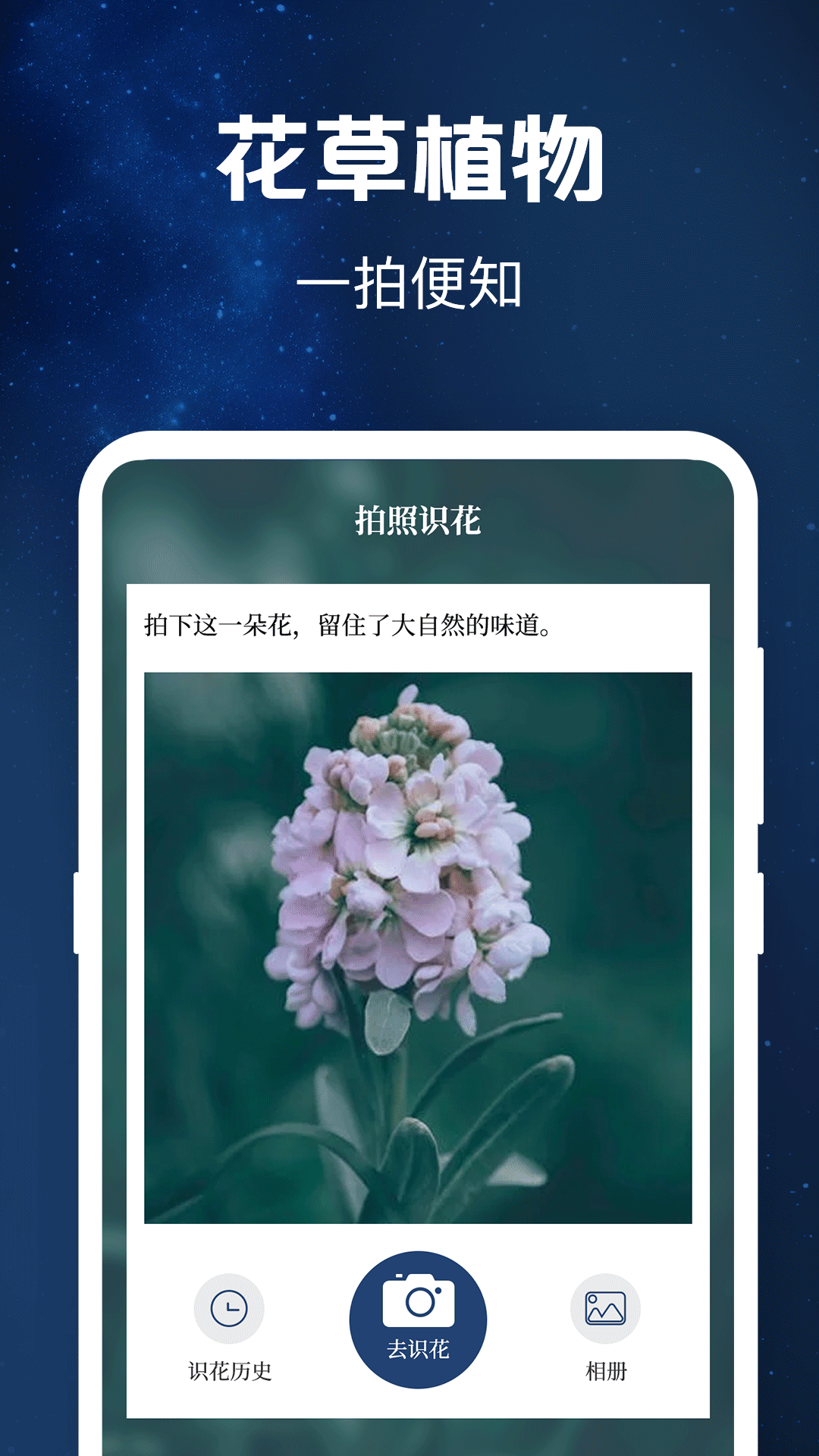 验钞工具Pro标准手电筒展示图2