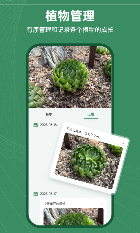花草志展示图4
