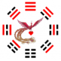 红鸟天选app