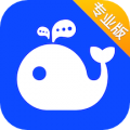 WorkPlus SE专业版  v6.0.6