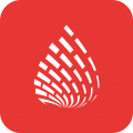 石化新闻app