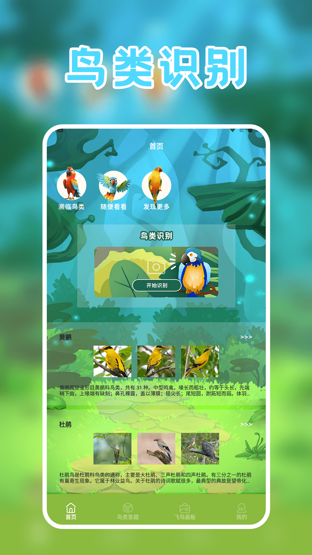 孤独的鸟app展示图1
