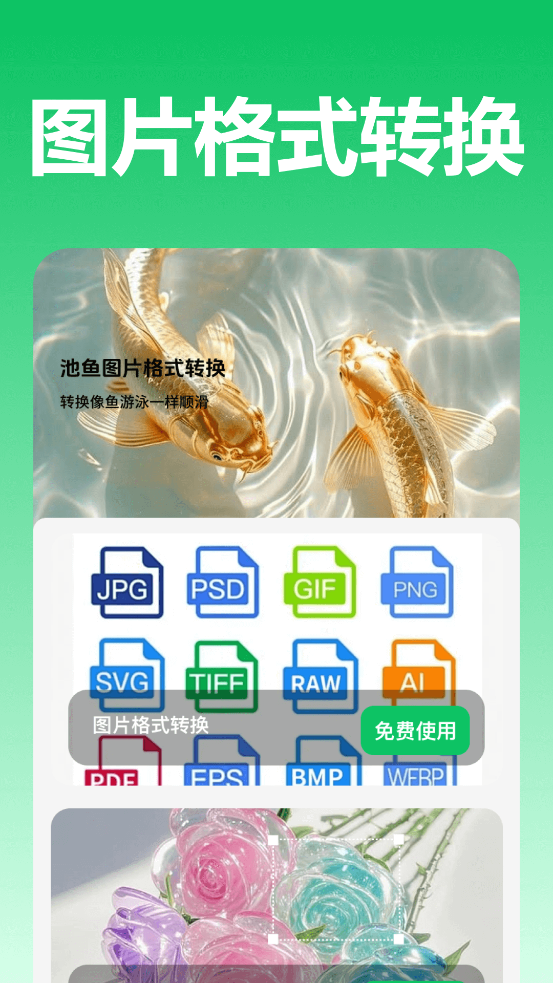 池鱼图片格式转换展示图1