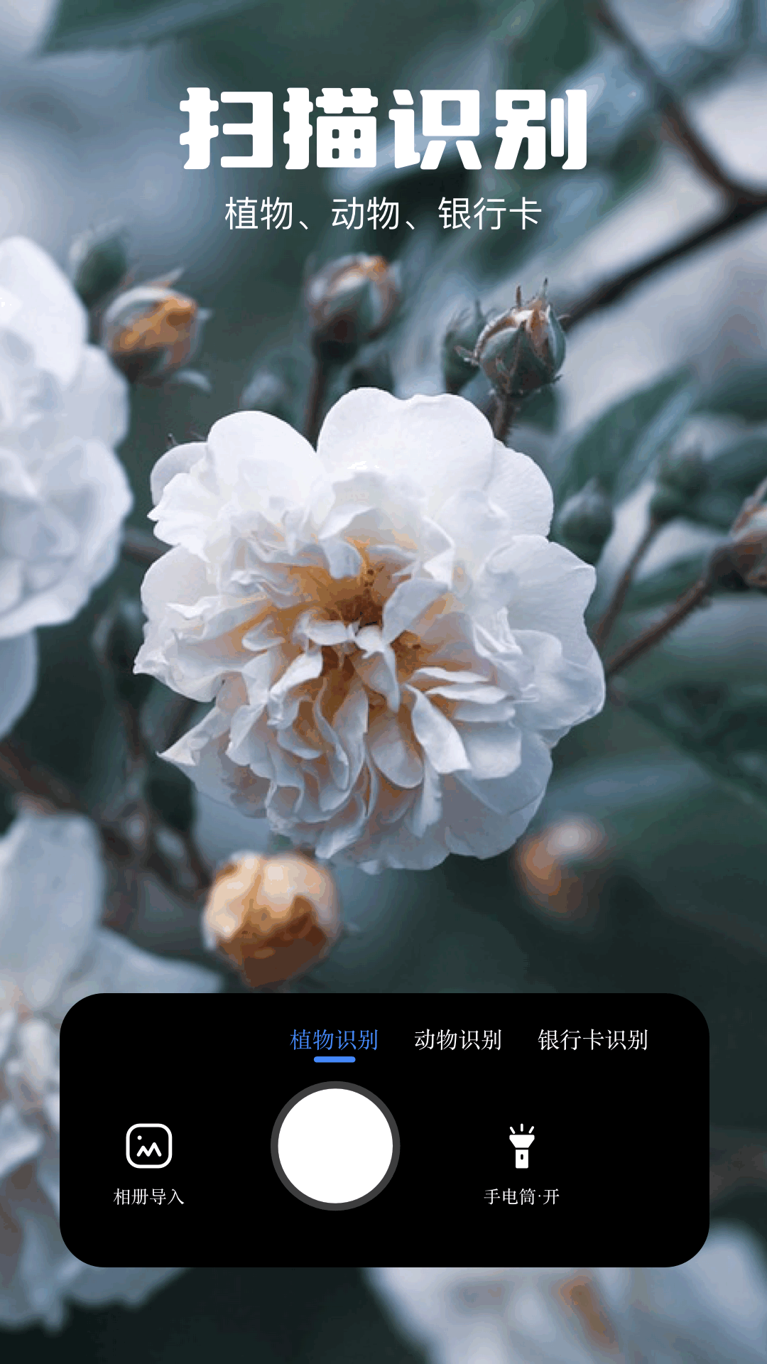 扫描测距全能王展示图4