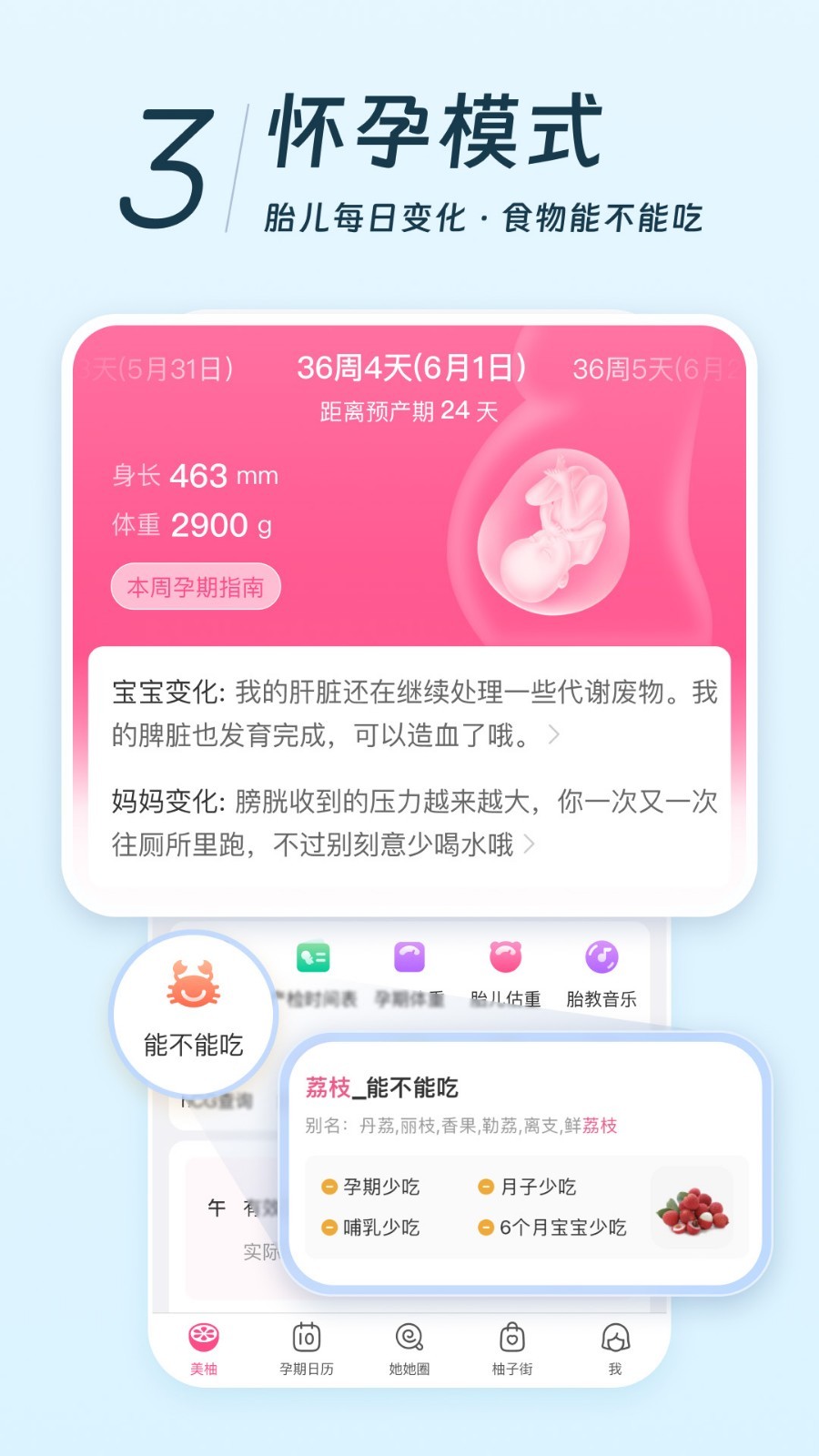 美柚展示图4