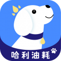 哈利油耗app