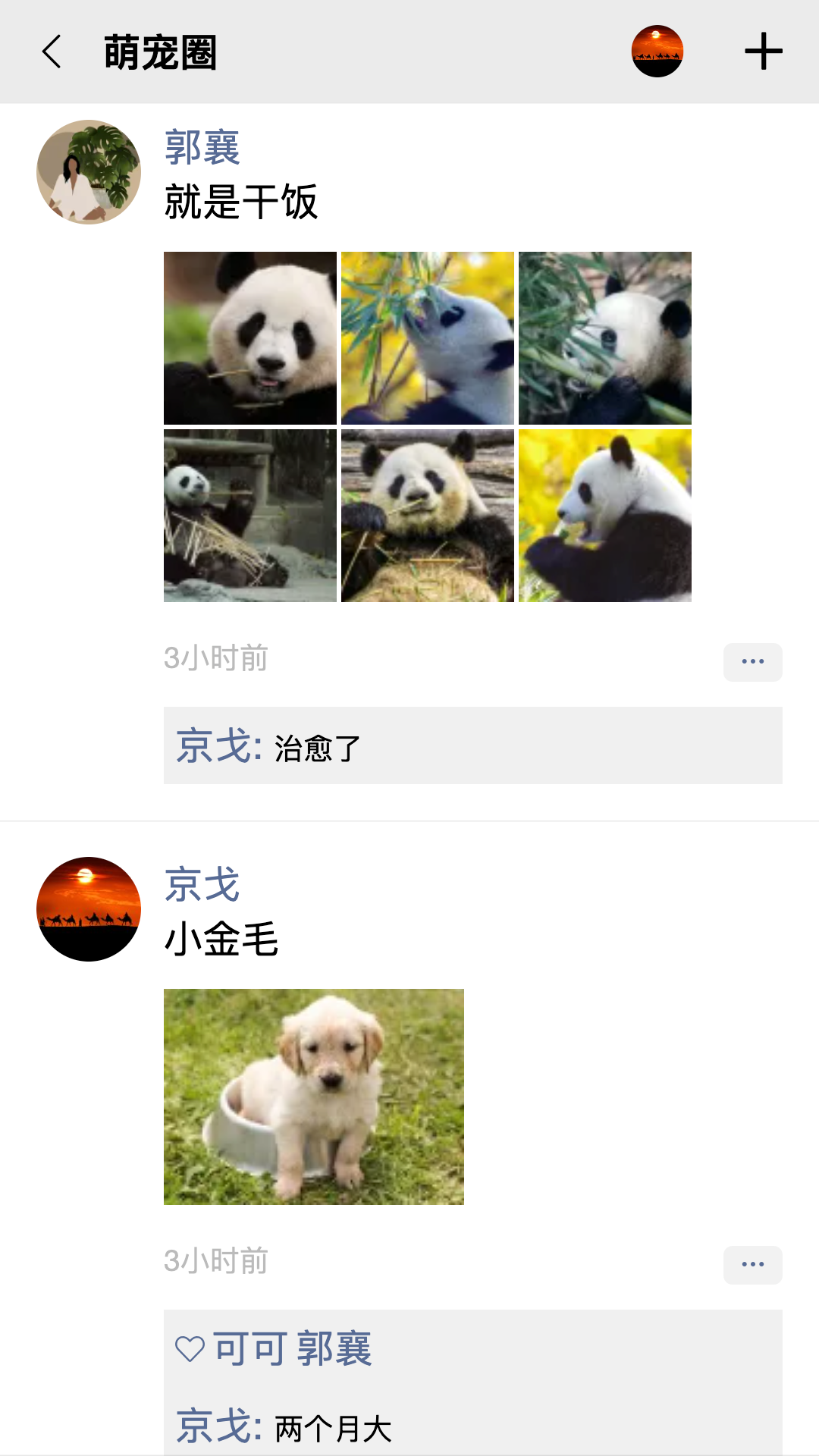 队信app展示图4
