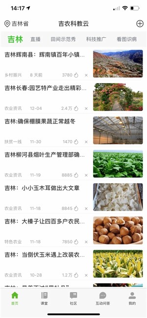 吉农云展示图3