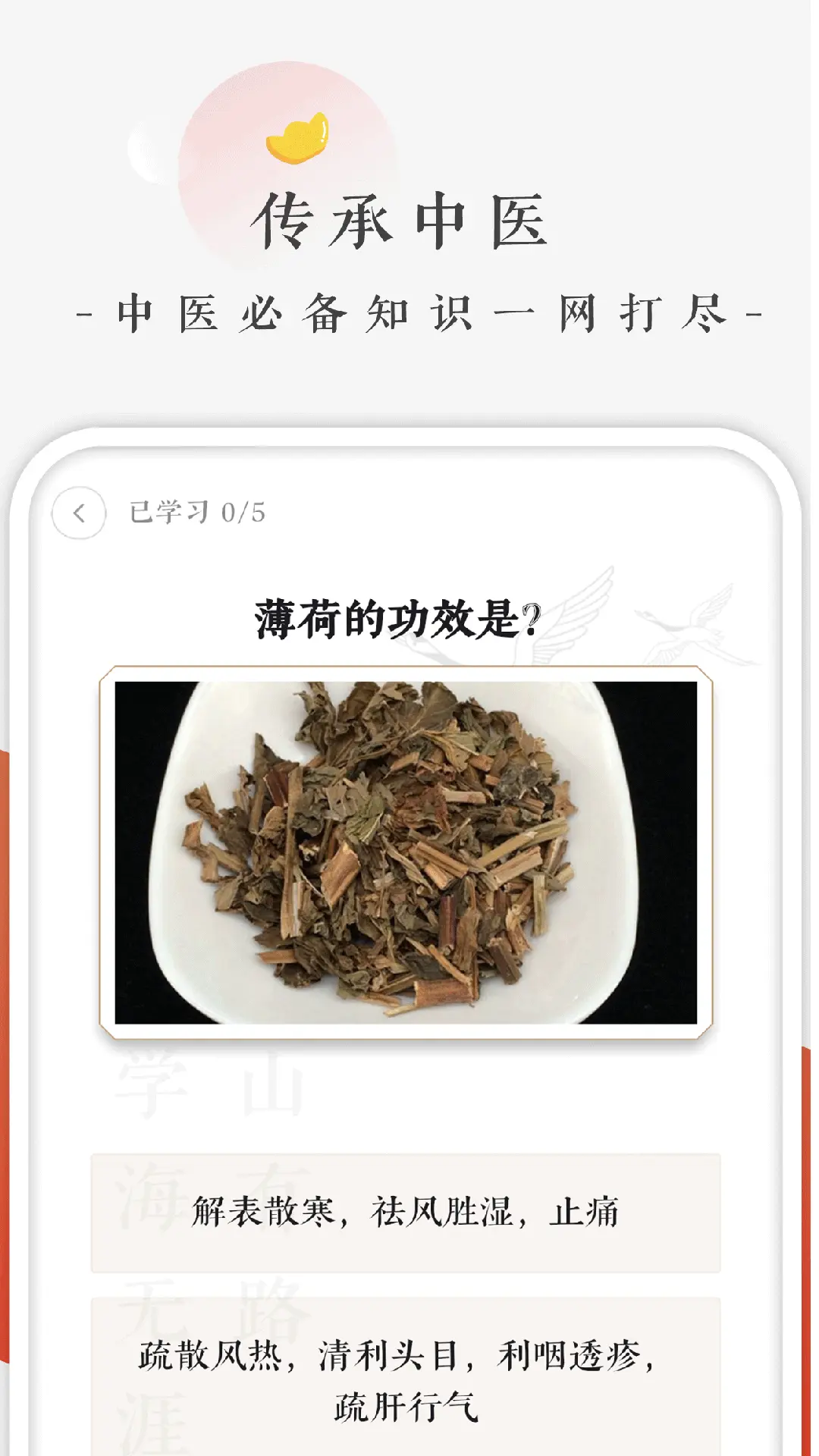 快背中医展示图2