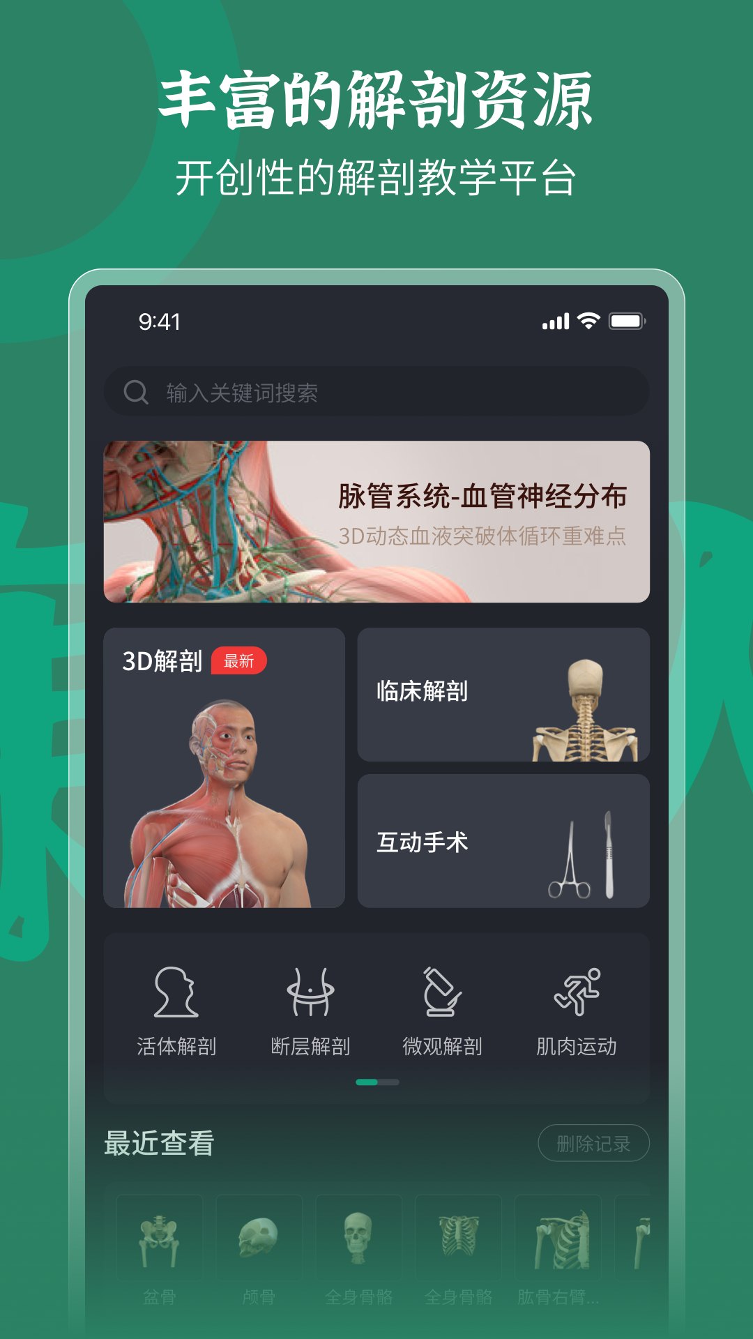 万康人体解剖展示图2