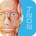 人体解剖3d