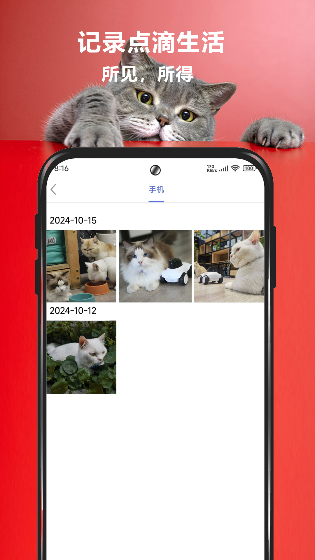 宠爱视界展示图3