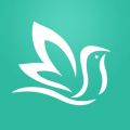 百灵健康app