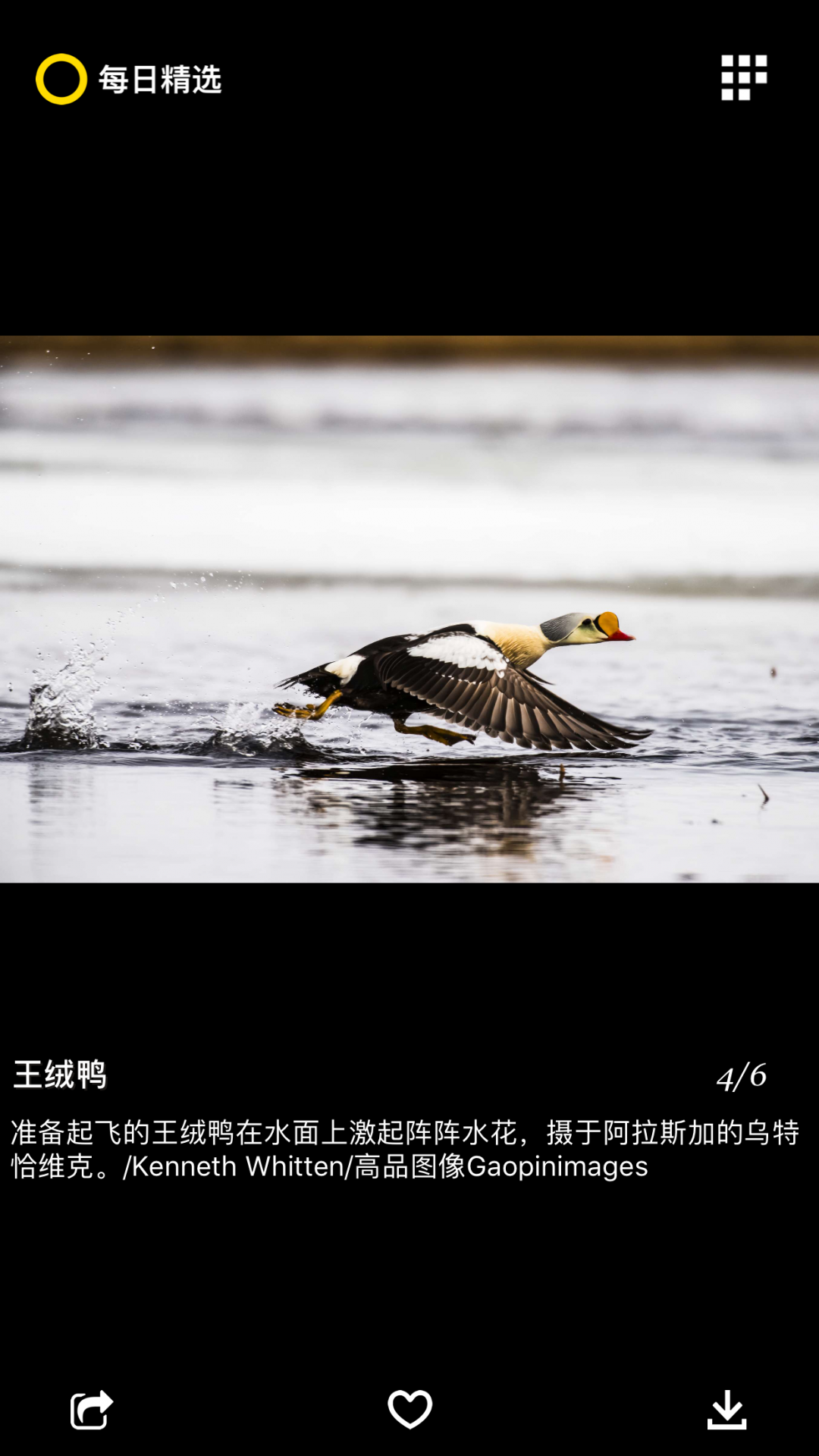 国家地理app展示图4