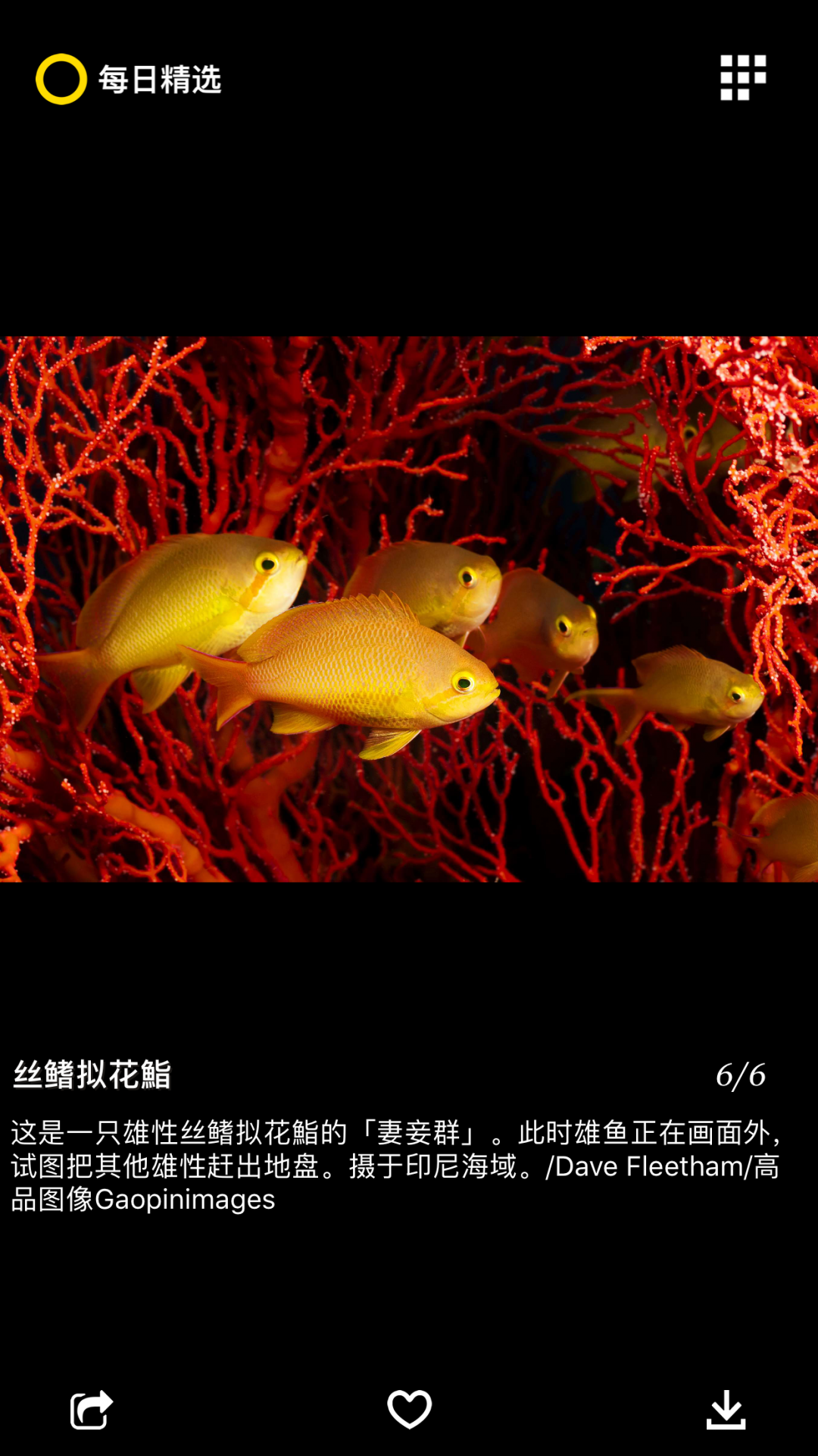 国家地理app展示图1