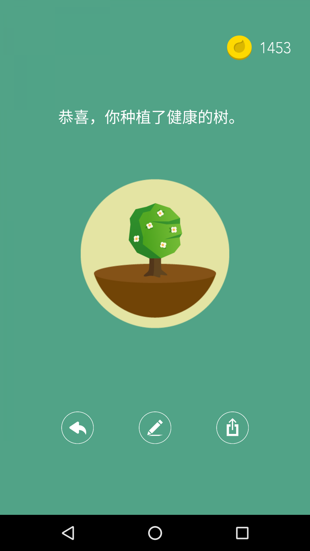 Forest专注森林展示图2