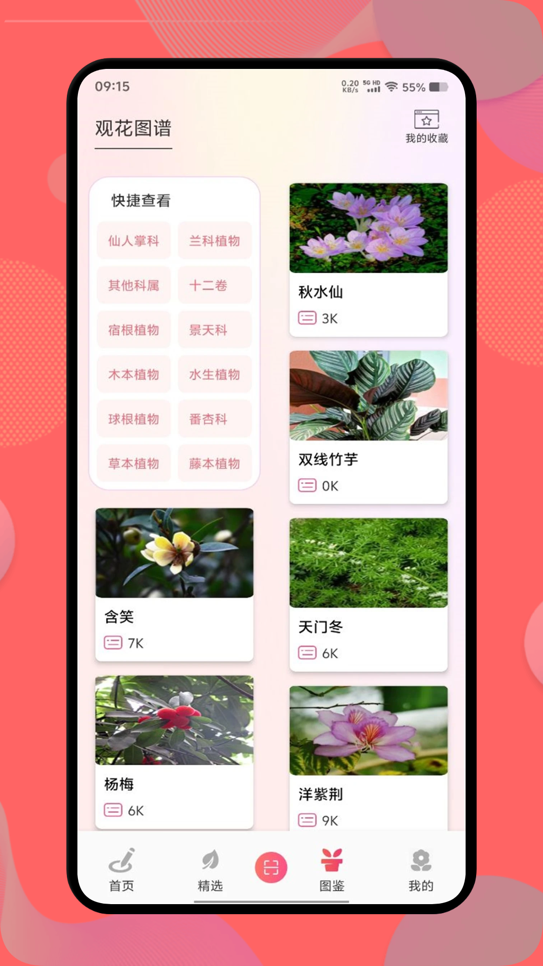 花社区展示图3