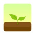 Forest专注森林  v4.92.0