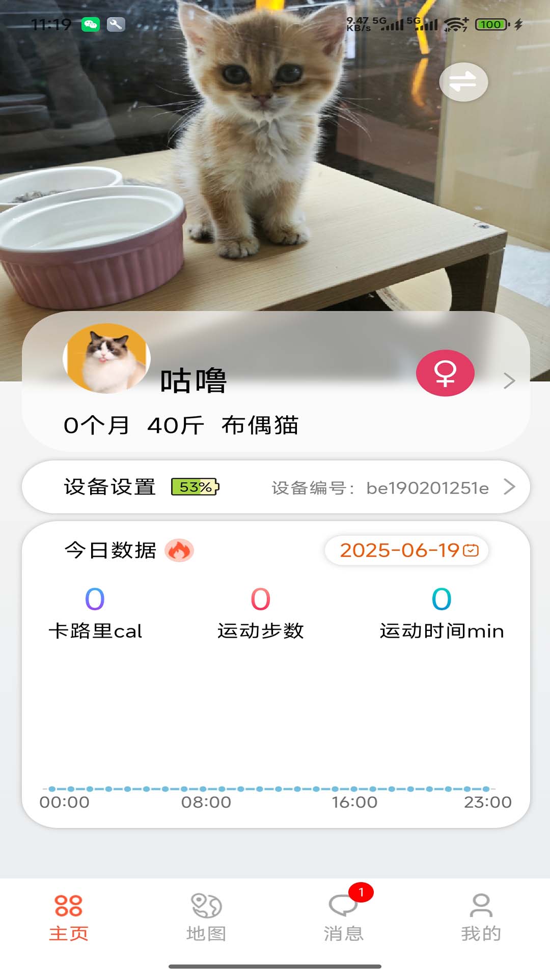 宠悦悦展示图1