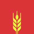 麦芒app
