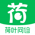 荷叶问诊 v1.1.0