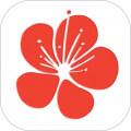 花瓣医美app