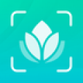 识别花app