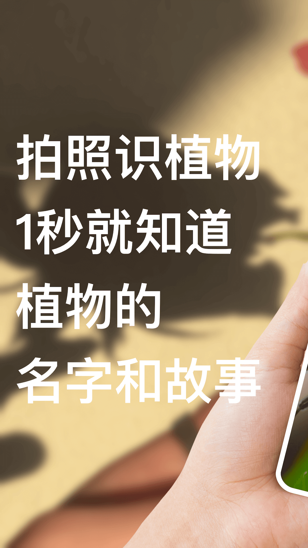 识别花app展示图1