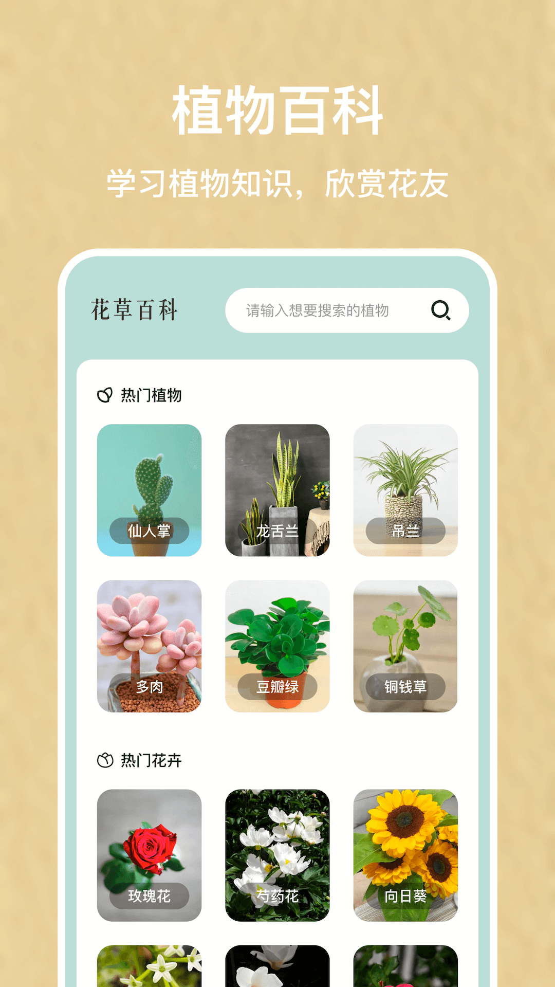 识别花app展示图4