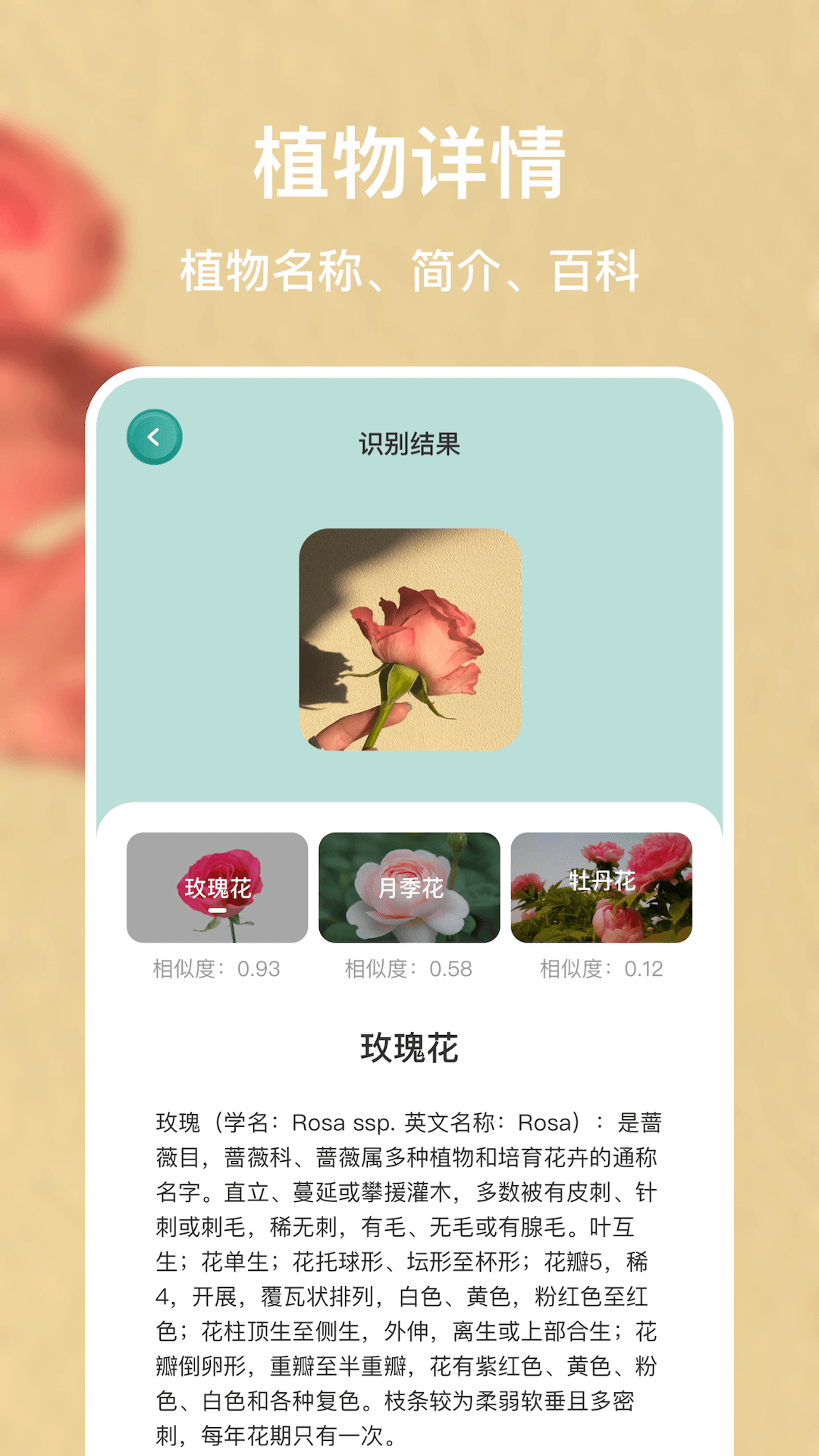 识别花app展示图3