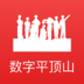 数字平顶山app  v2.8.4
