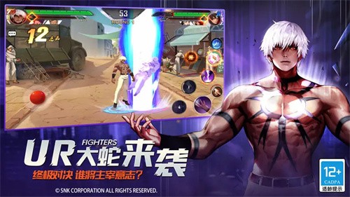 拳皇命运展示图2