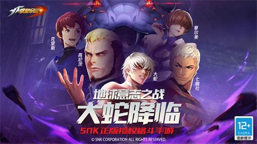 拳皇命运展示图4